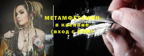 дживик Туринск