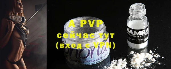 стафф Волосово