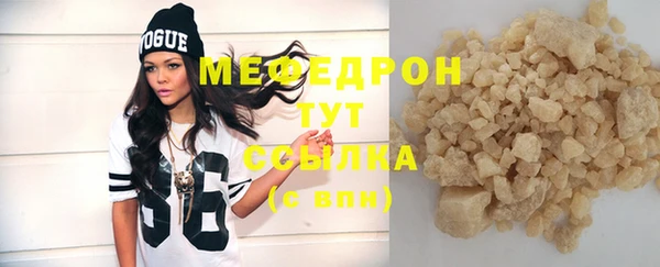 дживик Туринск
