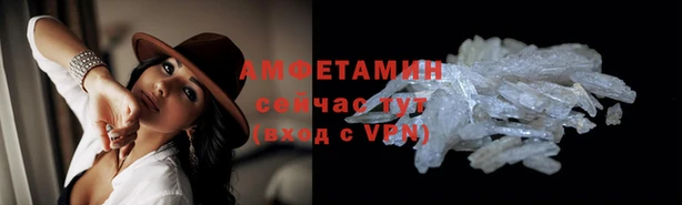 стаф Володарск