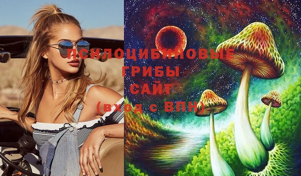 стафф Волосово