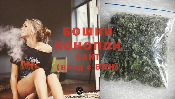 стаф Володарск