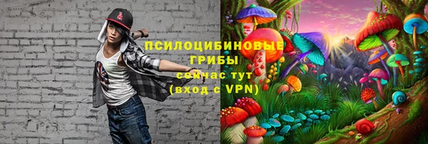 стафф Волосово