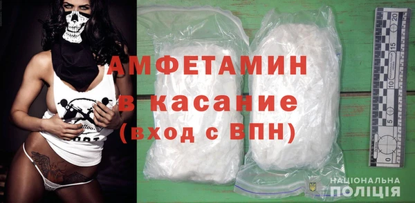 дживик Туринск