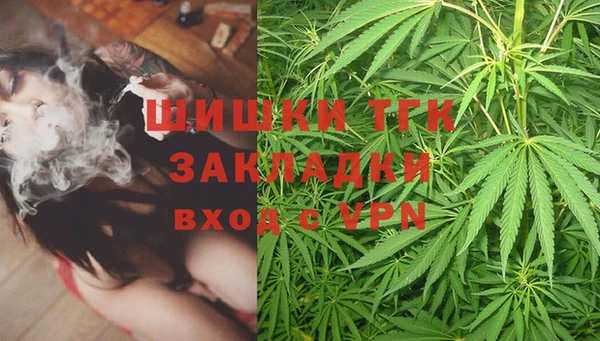 стаф Володарск