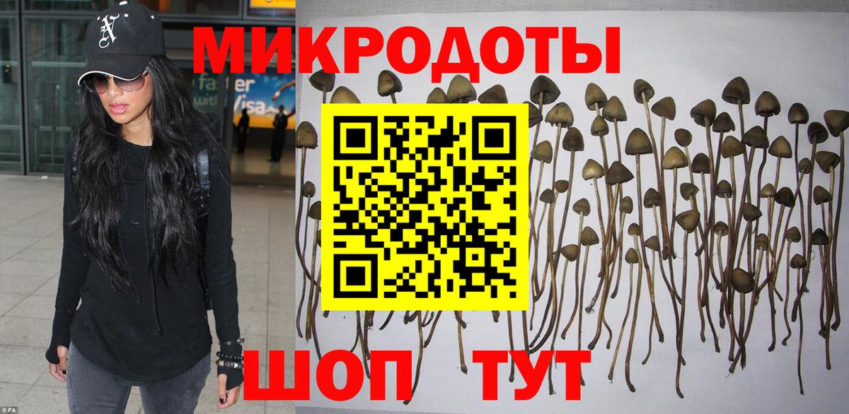 Псилоцибиновые грибы Psilocybine cubensis  Вход с VPN  купить наркоту  Снежинск  Псилоцибиновые грибы GOLDEN TEACHER 